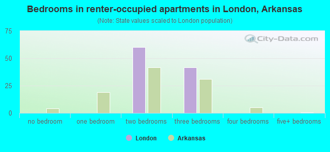 Bedrooms in renter-occupied apartments in London, Arkansas