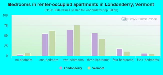 Bedrooms in renter-occupied apartments in Londonderry, Vermont