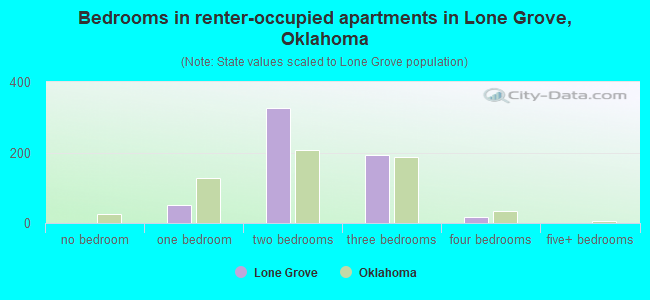 Bedrooms in renter-occupied apartments in Lone Grove, Oklahoma