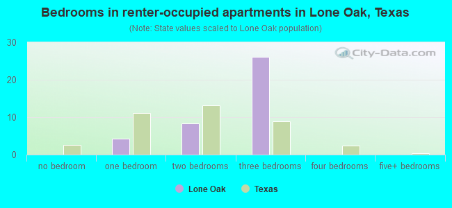 Bedrooms in renter-occupied apartments in Lone Oak, Texas