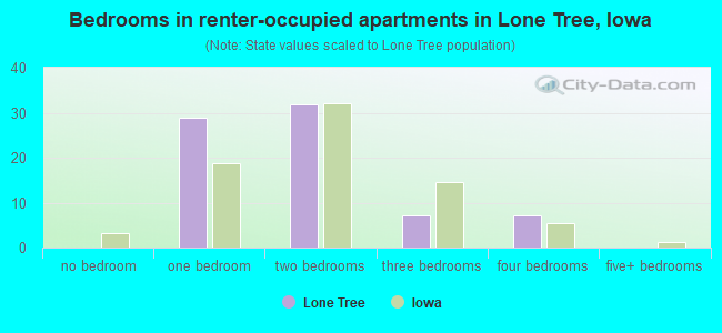 Bedrooms in renter-occupied apartments in Lone Tree, Iowa
