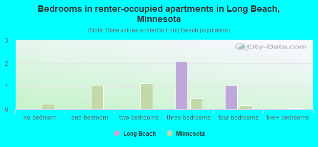 Bedrooms in renter-occupied apartments in Long Beach, Minnesota