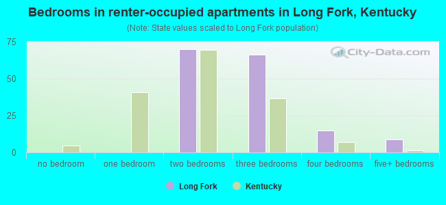 Bedrooms in renter-occupied apartments in Long Fork, Kentucky