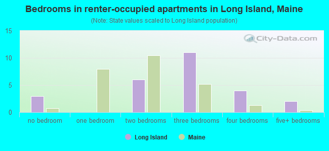 Bedrooms in renter-occupied apartments in Long Island, Maine
