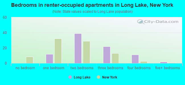Bedrooms in renter-occupied apartments in Long Lake, New York