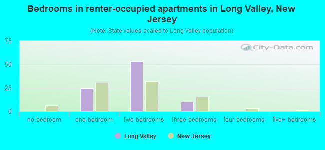 Bedrooms in renter-occupied apartments in Long Valley, New Jersey