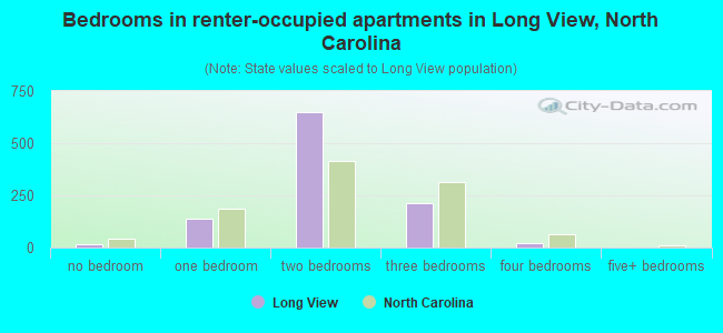 Bedrooms in renter-occupied apartments in Long View, North Carolina