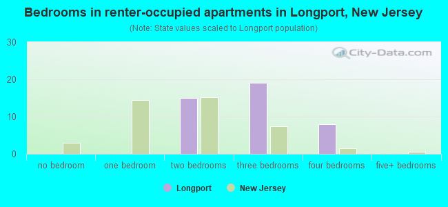 Bedrooms in renter-occupied apartments in Longport, New Jersey