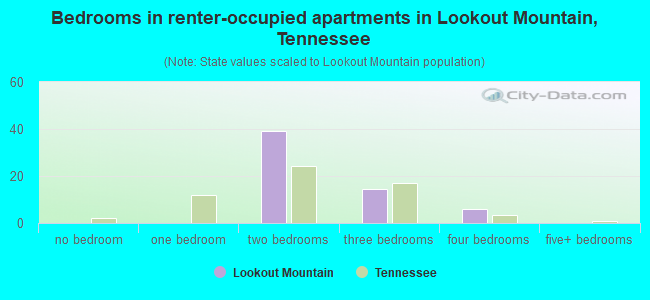 Bedrooms in renter-occupied apartments in Lookout Mountain, Tennessee