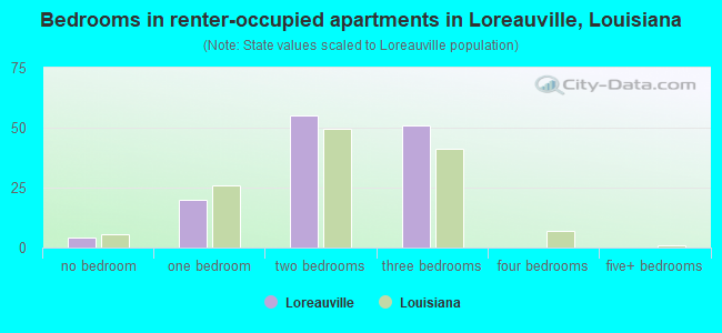 Bedrooms in renter-occupied apartments in Loreauville, Louisiana