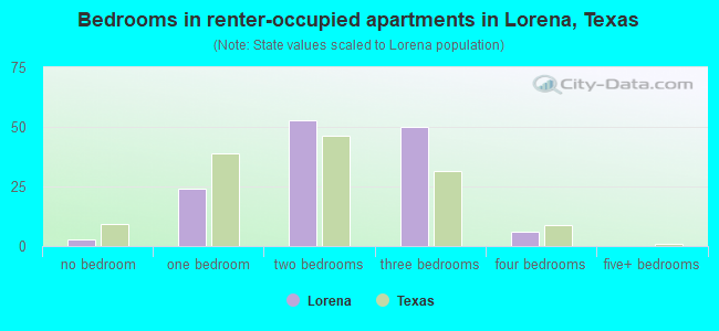 Bedrooms in renter-occupied apartments in Lorena, Texas