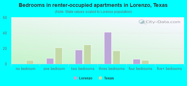 Bedrooms in renter-occupied apartments in Lorenzo, Texas