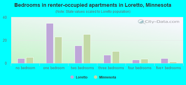 Bedrooms in renter-occupied apartments in Loretto, Minnesota