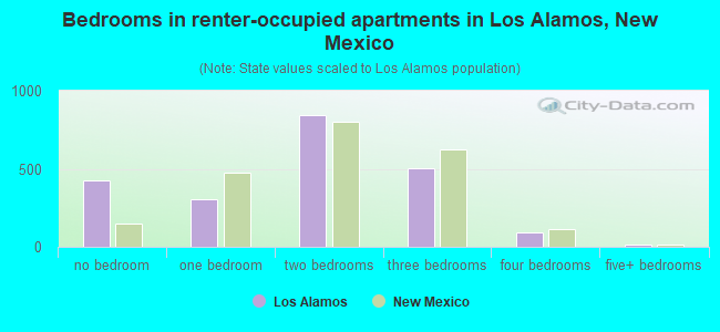 Bedrooms in renter-occupied apartments in Los Alamos, New Mexico