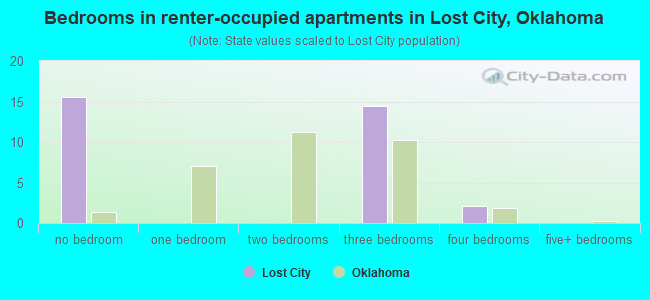 Bedrooms in renter-occupied apartments in Lost City, Oklahoma