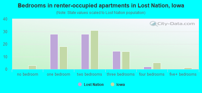 Bedrooms in renter-occupied apartments in Lost Nation, Iowa