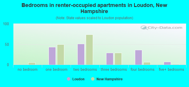 Bedrooms in renter-occupied apartments in Loudon, New Hampshire