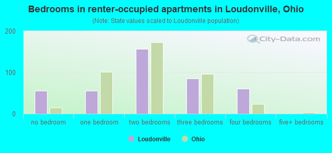Bedrooms in renter-occupied apartments in Loudonville, Ohio