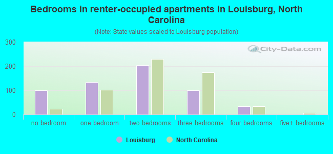 Bedrooms in renter-occupied apartments in Louisburg, North Carolina