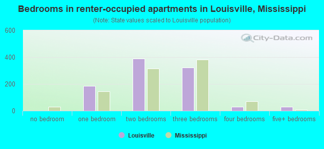 Bedrooms in renter-occupied apartments in Louisville, Mississippi