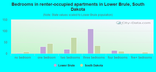 Bedrooms in renter-occupied apartments in Lower Brule, South Dakota