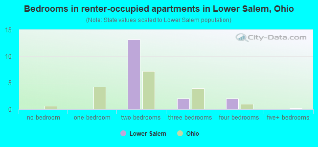 Bedrooms in renter-occupied apartments in Lower Salem, Ohio