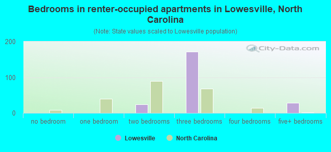 Bedrooms in renter-occupied apartments in Lowesville, North Carolina