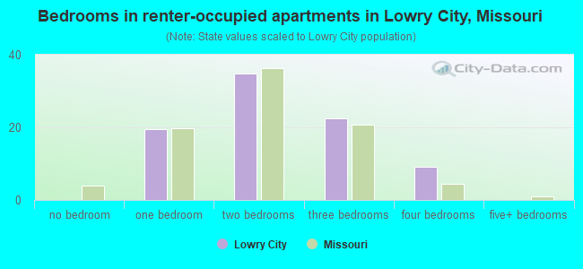 Bedrooms in renter-occupied apartments in Lowry City, Missouri