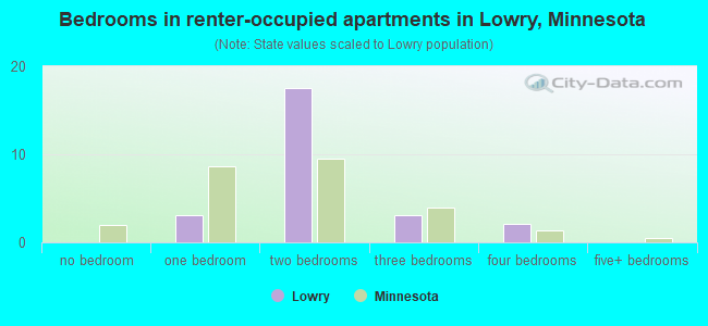 Bedrooms in renter-occupied apartments in Lowry, Minnesota