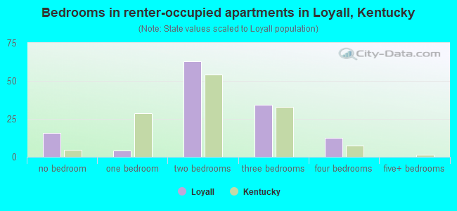 Bedrooms in renter-occupied apartments in Loyall, Kentucky