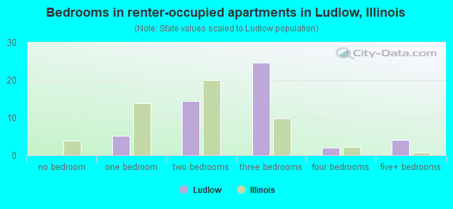 Bedrooms in renter-occupied apartments in Ludlow, Illinois
