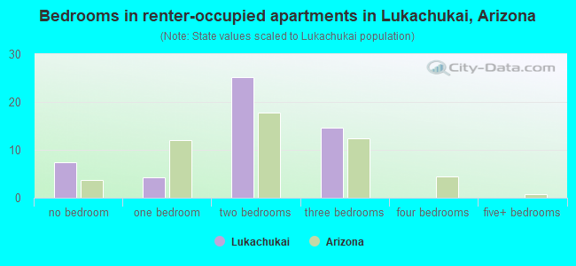 Bedrooms in renter-occupied apartments in Lukachukai, Arizona