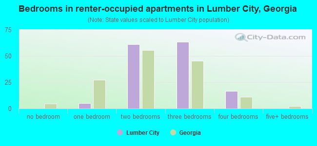 Bedrooms in renter-occupied apartments in Lumber City, Georgia
