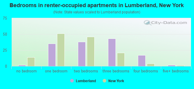 Bedrooms in renter-occupied apartments in Lumberland, New York