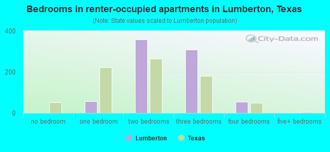 Bedrooms in renter-occupied apartments in Lumberton, Texas