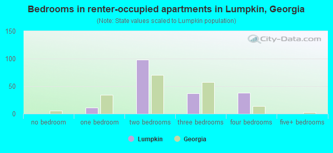 Bedrooms in renter-occupied apartments in Lumpkin, Georgia