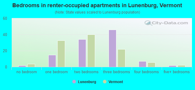 Bedrooms in renter-occupied apartments in Lunenburg, Vermont