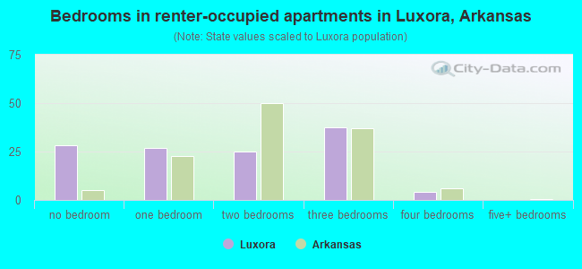 Bedrooms in renter-occupied apartments in Luxora, Arkansas