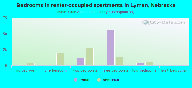 Bedrooms in renter-occupied apartments in Lyman, Nebraska