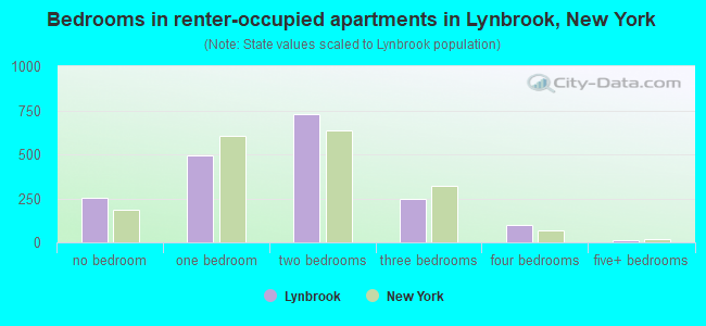 Bedrooms in renter-occupied apartments in Lynbrook, New York
