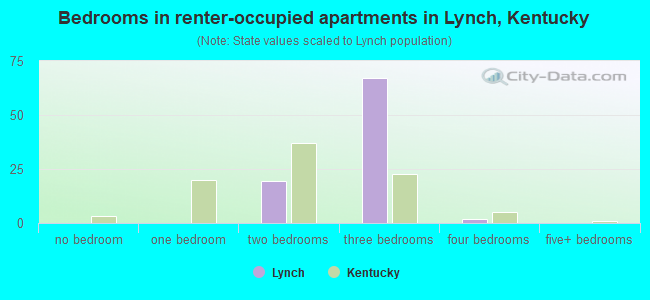 Bedrooms in renter-occupied apartments in Lynch, Kentucky