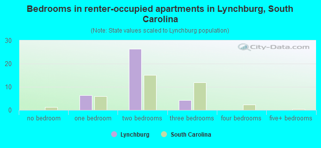 Bedrooms in renter-occupied apartments in Lynchburg, South Carolina