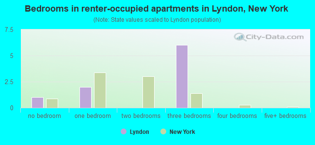 Bedrooms in renter-occupied apartments in Lyndon, New York