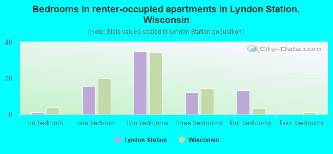 Bedrooms in renter-occupied apartments in Lyndon Station, Wisconsin