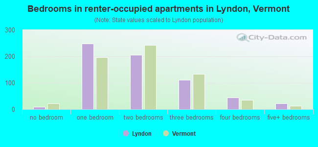 Bedrooms in renter-occupied apartments in Lyndon, Vermont