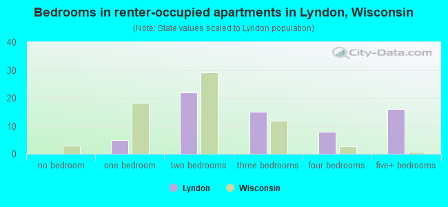 Bedrooms in renter-occupied apartments in Lyndon, Wisconsin