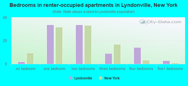 Bedrooms in renter-occupied apartments in Lyndonville, New York