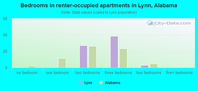 Bedrooms in renter-occupied apartments in Lynn, Alabama