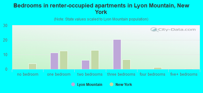 Bedrooms in renter-occupied apartments in Lyon Mountain, New York