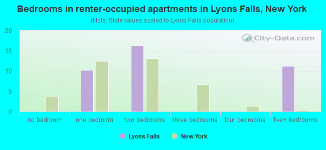 Bedrooms in renter-occupied apartments in Lyons Falls, New York